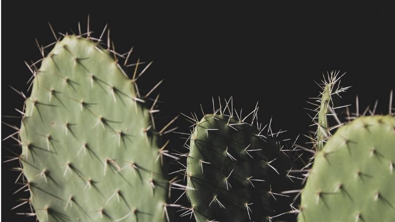 Unbequem Vorurteile Opferrolle